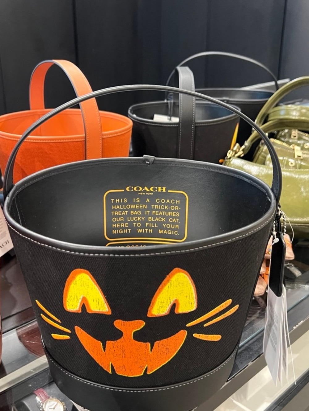 Coach Trick or Treat Halloween Bucket with Cat Orange Jack-O'-Lantern Face